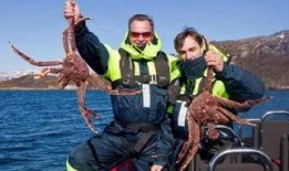 记者爆料帝王蟹视频,海洋珍馐的奢华诱惑